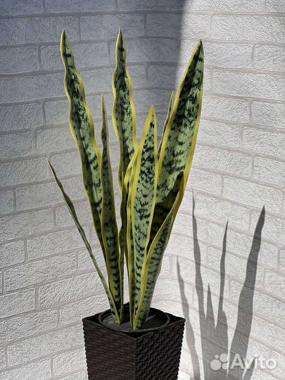 Искусственная зелень