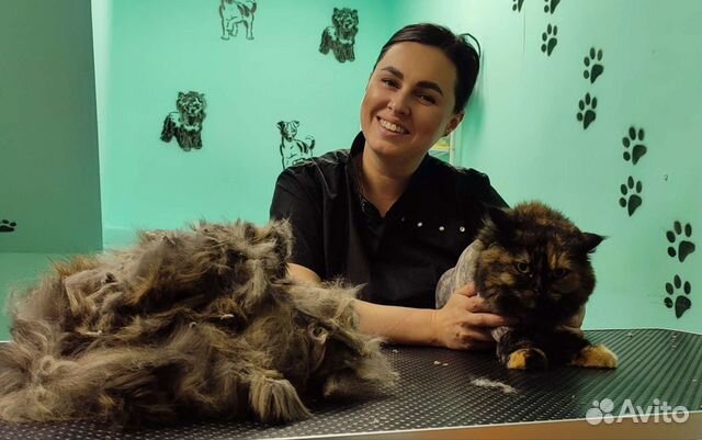 Стрижка кошек и собак (груминг)