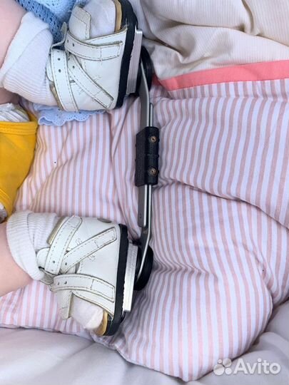 Брейсы медвежонок