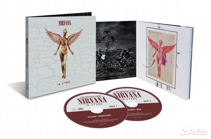 Nirvana In Utero 30th Anniversary