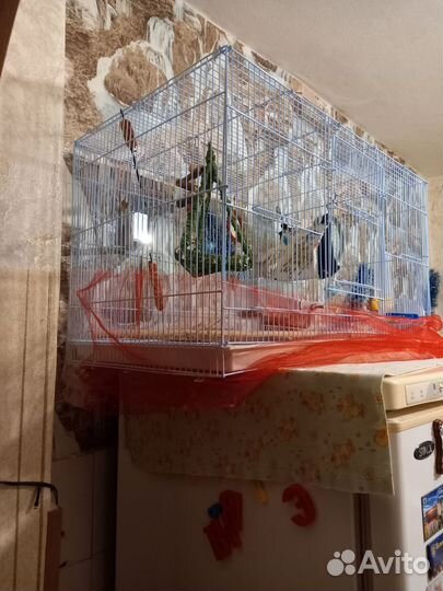 Большая клетка для птиц