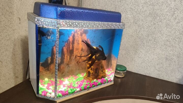 Аквариум с рыбками