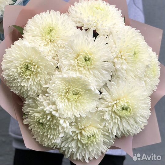 Цветы букеты с доставкой