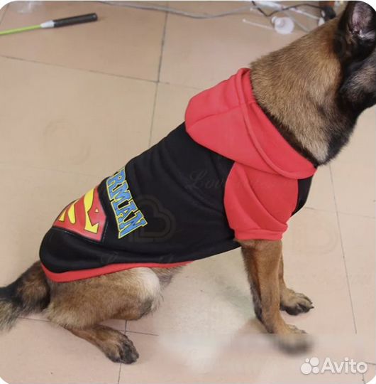 Костюм для животных (одежда для животных )