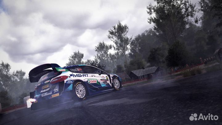 WRC 10 FIA World Rally Championship (PS5)