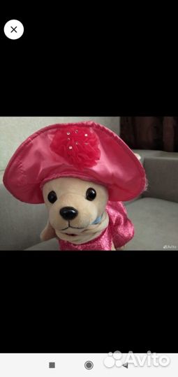 Чичилаф собачка