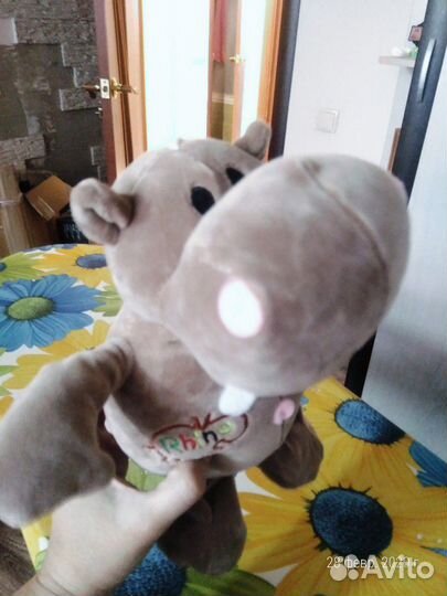 Подарок бегемотик)