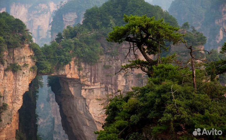 Тур-путешествие в Китай от 6 ночей