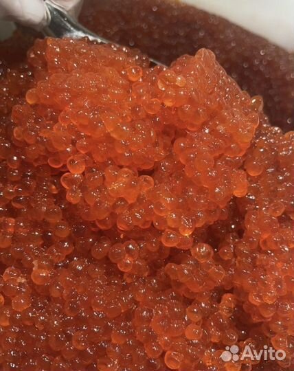 Икра красная горбуши