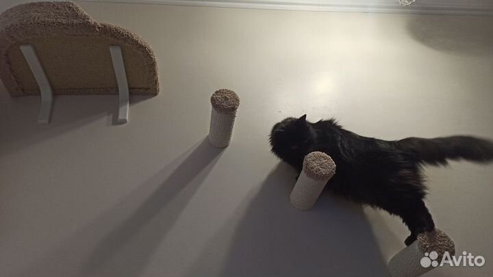 Настенный комплекс для кошек