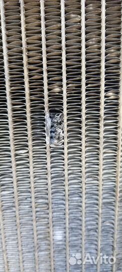 Радиатор евро маз