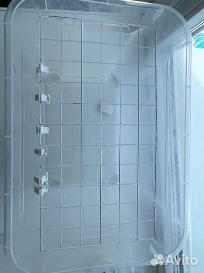 Ферма (инсектарий) для выведения бабочек