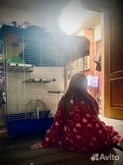 Клетка для грызунов очень большая