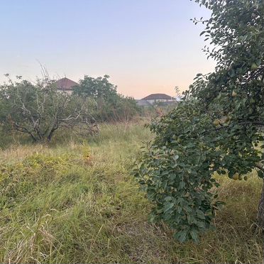 Участок 40 сот. (СНТ, ДНП)