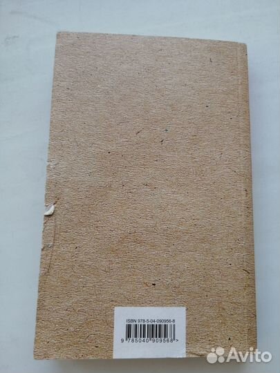 Элис Сиболд Милые кости книга