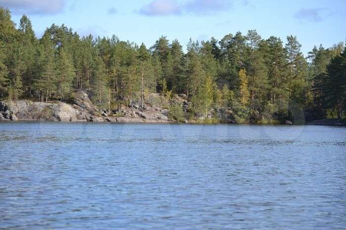 Участок 2,6 га (СНТ, ДНП)