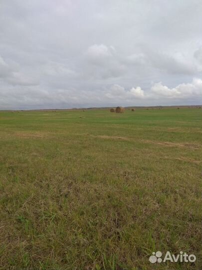 Сено в рулонах