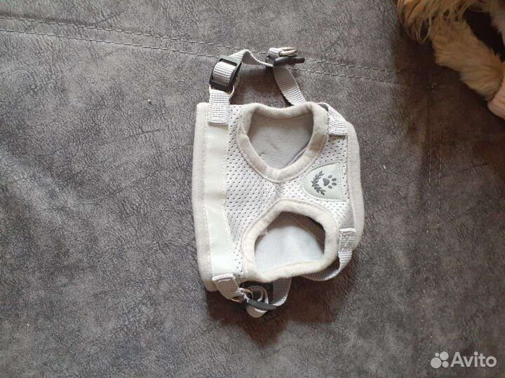 Одежда для маленьких пород собак