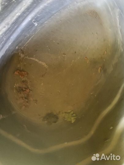 Прудик декоративный