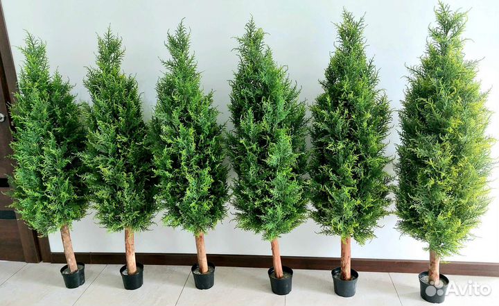 Искусственные туи можжевельник растение