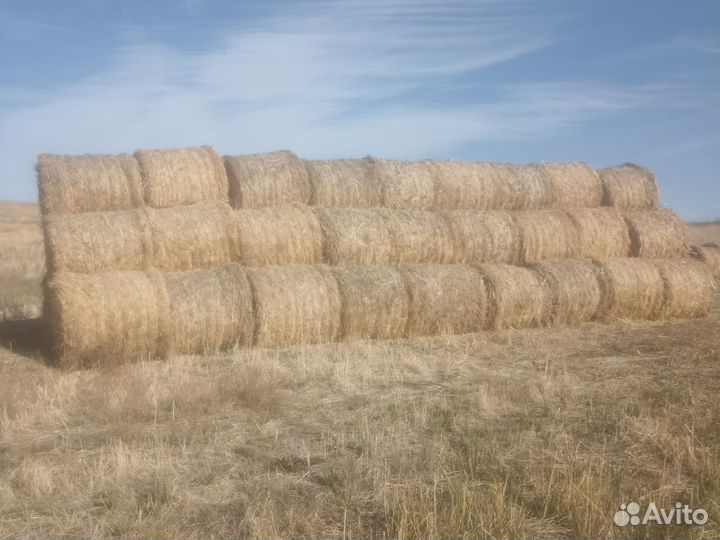 Сено рулонах и солома