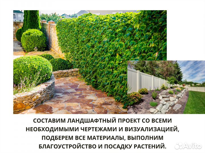 Ландшафтный дизайн. Растения для благоустройства