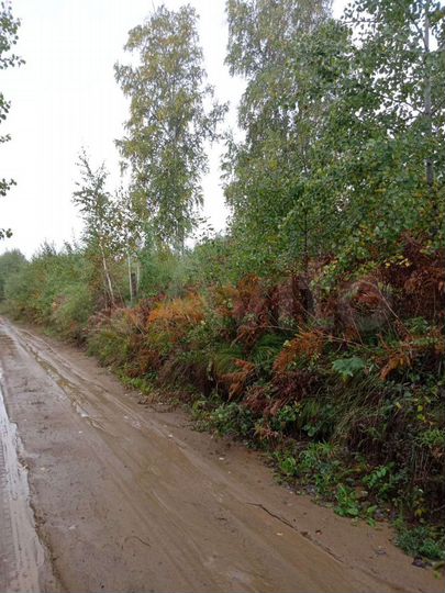 Участок 8 сот. (СНТ, ДНП)