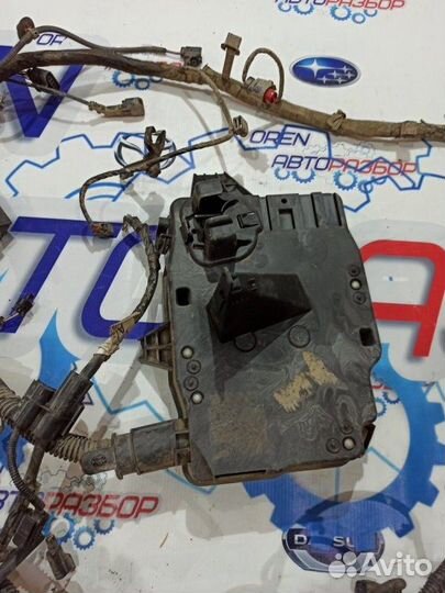 Проводка двс Ford Focus 3 хэтчбек 1.6 iqdb 2013