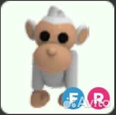 Альбино обезьяна