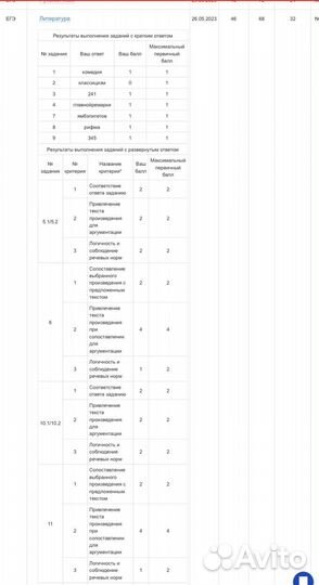 Репетитор по литературе