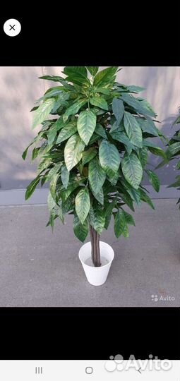 Искусственное дерево