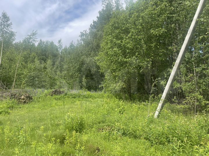 Участок 19 сот. (СНТ, ДНП)