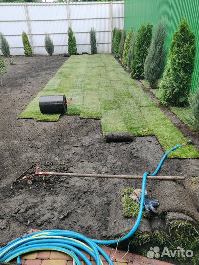 Озеленение и благоустройство участка