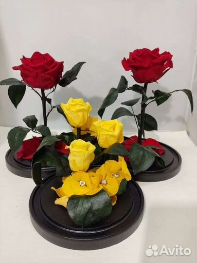 Роза в колбе опт