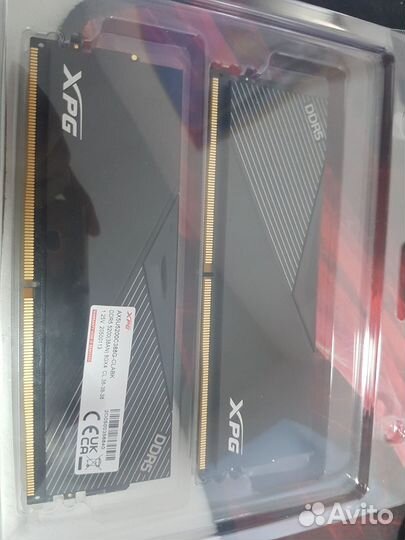 Ddr5 16gb xpg