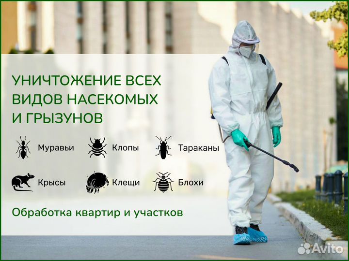 Уничтожение клещей комаров.Дезинсекция