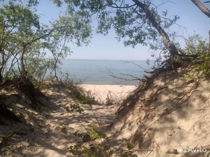 Гид- экскурсовод