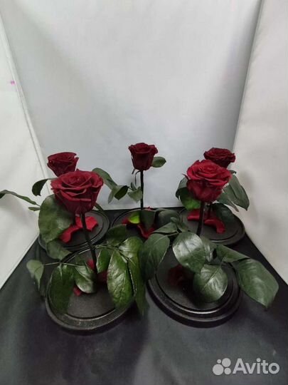 Роза в колбе оптом