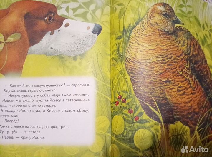 Рассказы о животных