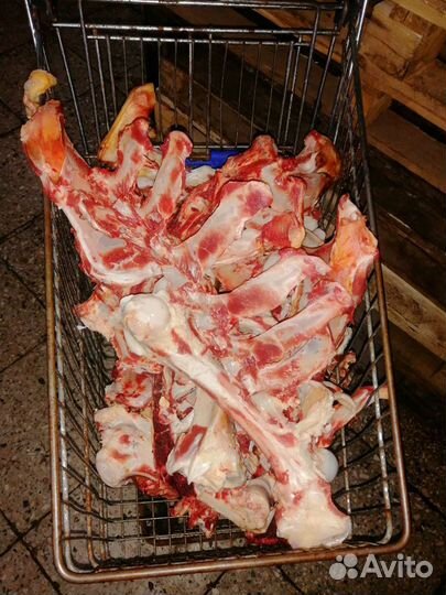 Кости для собак