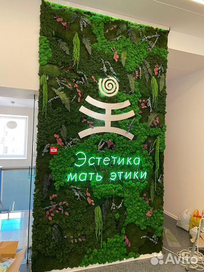Экологичный дом: стены из растений. Арт: 215325