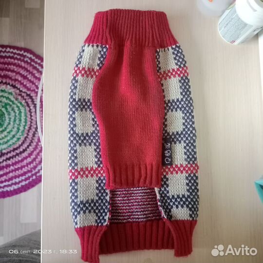 Одежда для животных