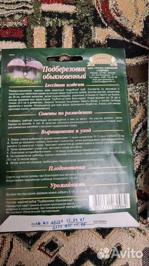 Мицелий грибов подберезовик польский гриб