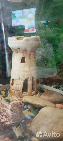 Аквариум 60л