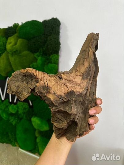 Коряги и корни для творчества и интерьера