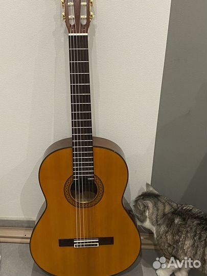 Гитара yamaha c80