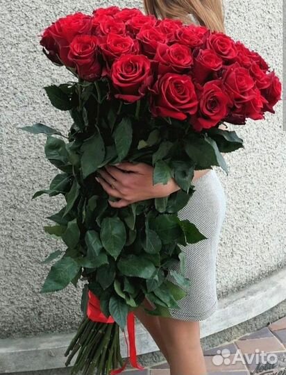 Роза Эквадор 100см с доставкой Волгоград