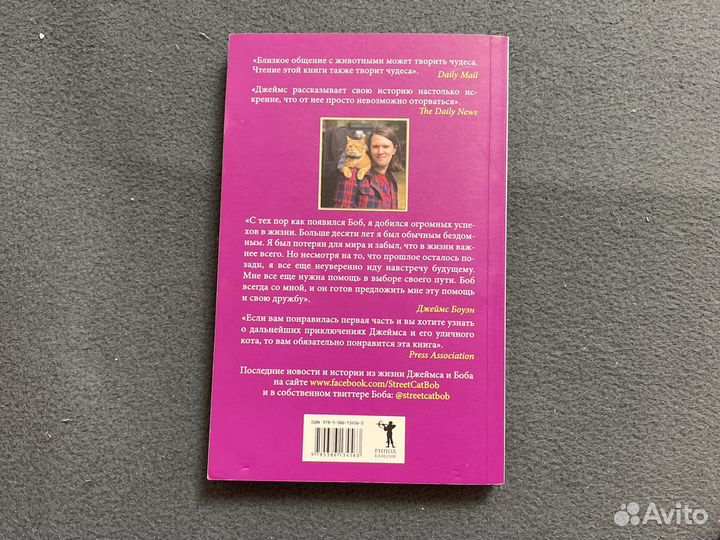 Мир глазами кота боба