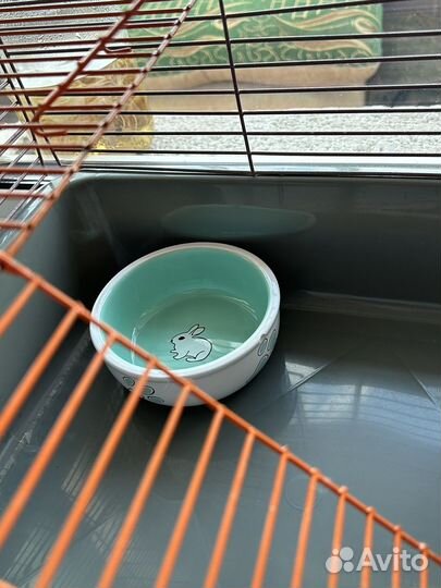 Клетка для грызунов