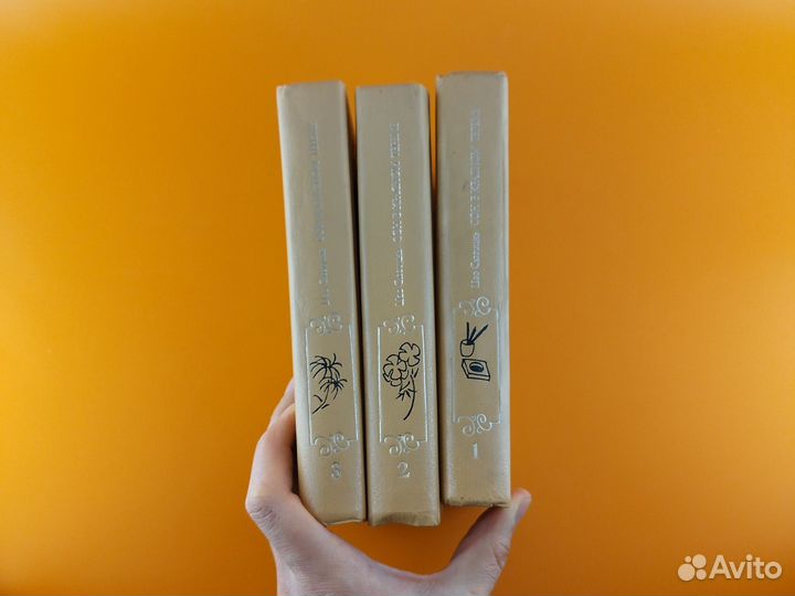 Сон в красном тереме Цао Сюэцинь